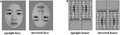 Literacy acquisition facilitates inversion effects for faces with full-, low-, and high-spatial frequency: evidence from illiterate and literate adults